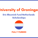 University Of Groningen Scholarships