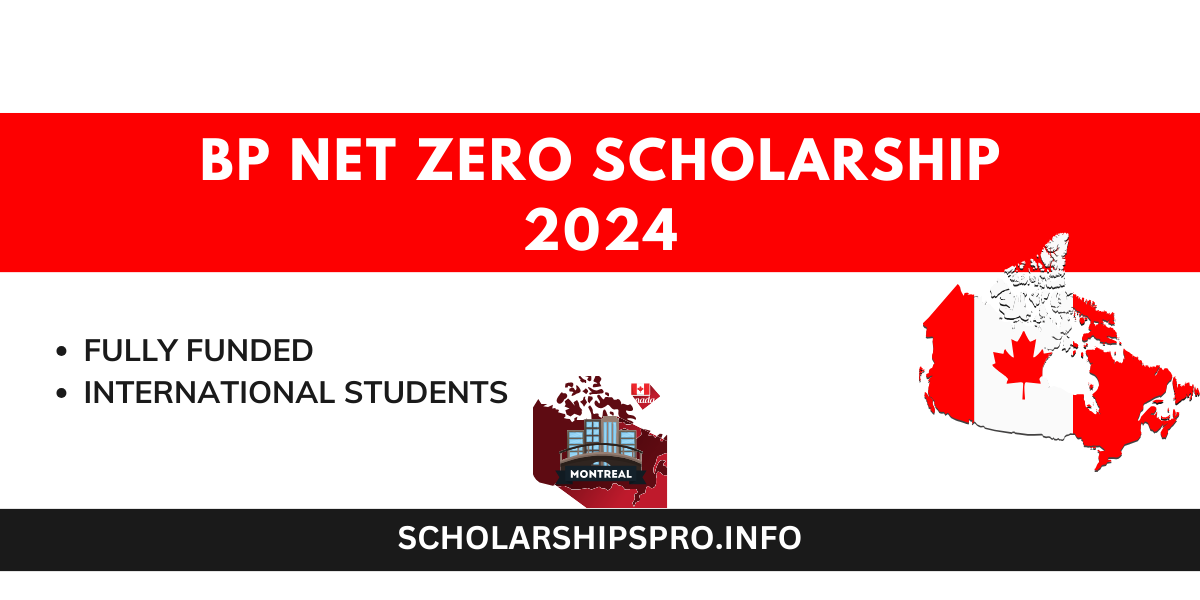 BP NET ZERO SCHOLARSHIP