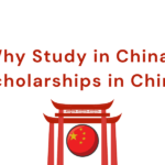 Scholarships in China