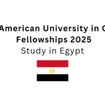 The American University in Cairo Fellowships 2025