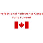 Young Professional Fellowship Canada 2025 | Fully Funded